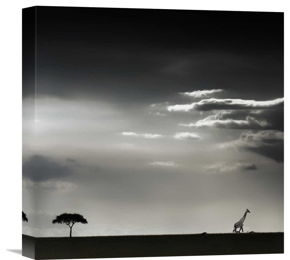 "15 Minutes Of Happiness" Stretched Canvas Giclee by Piet Flour, 16"x16"