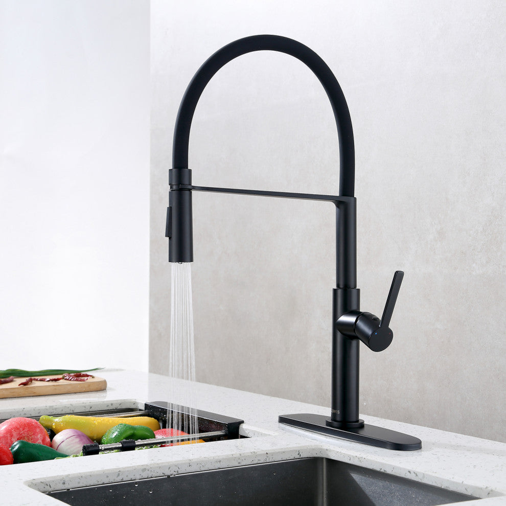 Single Handle Deck Mounted High Arc Pull Out  Kitchen Faucet