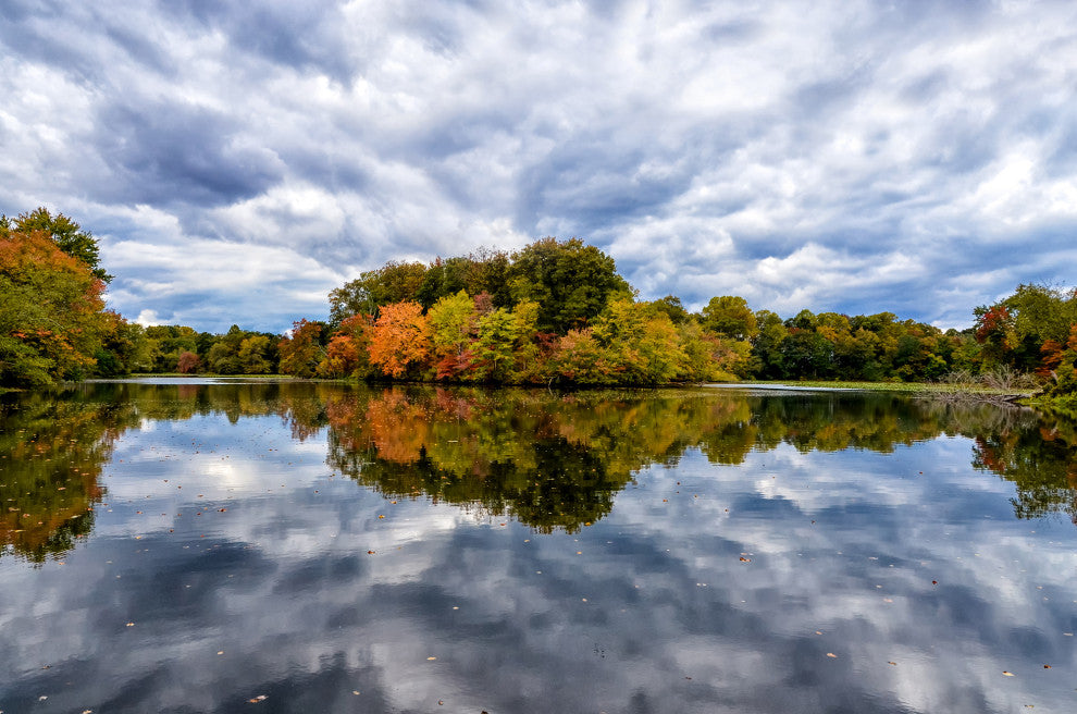 Autumn Reflections Rural Landscape Framed Photo Paper Wall Art Prints, Red Oak, 12" X 16"