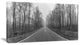 "Black and White Freeway in Forest" Landscape Print Wall Artwork, 40"x20"