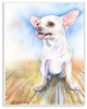 Chihuahua Dog Pet Animal Watercolor Painting, 10"x15"