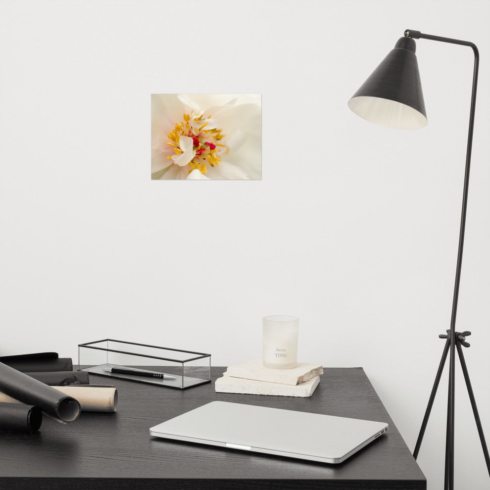 Eye of Peony Nature Photography, Floral Unframed Wall Art Print, 8" X 10"