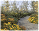"Step Into Autumn" Digital Paper Print by Diane Romanello, 34"x26"