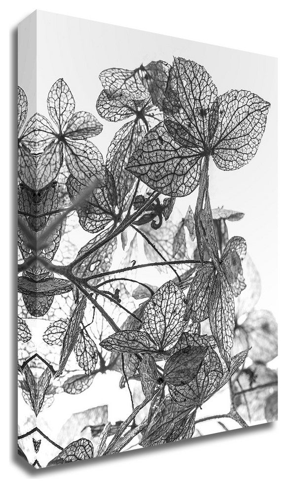 Leaf Composition by Design Fabrikken, Print on Canvas, 25"x35"
