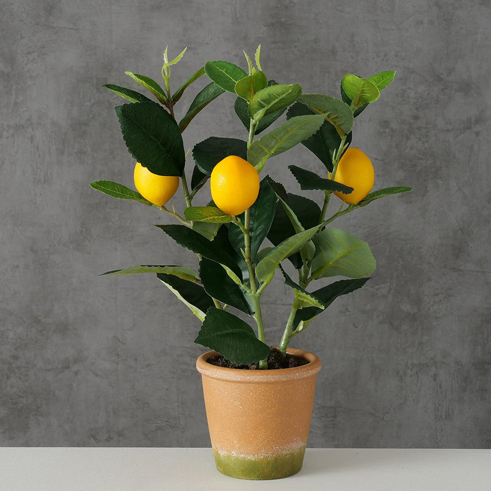 Potted Lemon Topiary Tree , 12.5 Inches