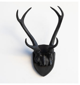 Deer Antler Mount, White Antlers And Plaque, Black