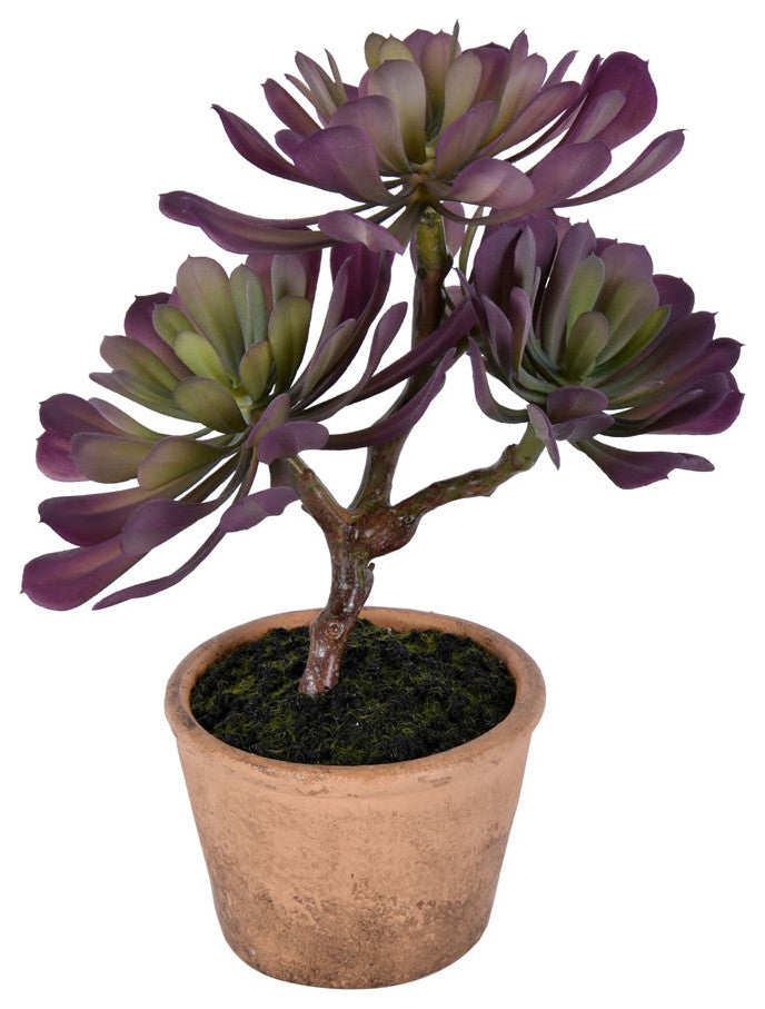 Vickerman FE192412 12" Artificial Purple and Green Succulent, Paper Pot.