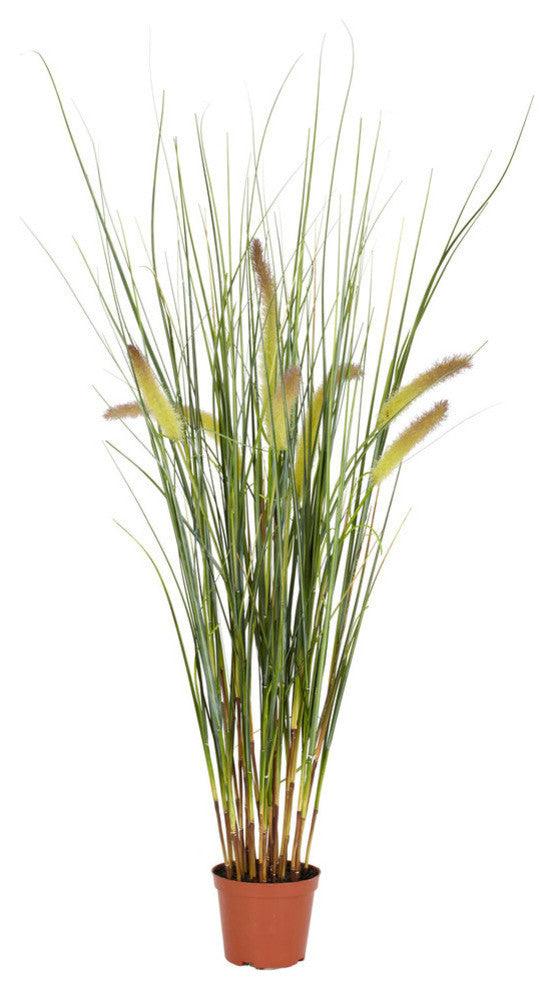 2.5' Grass Plant