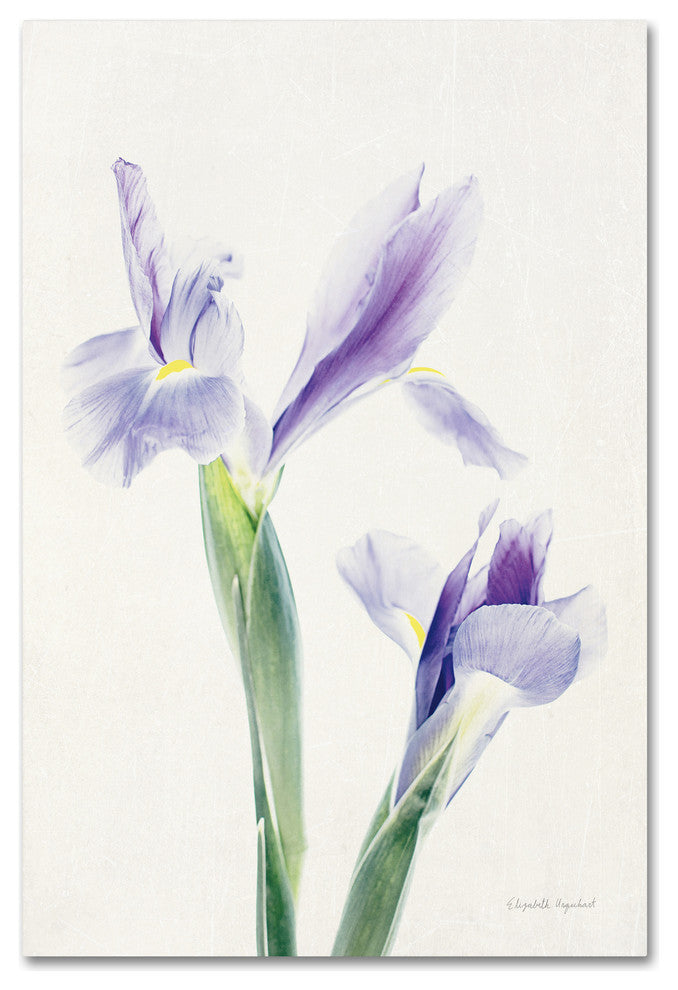 "Light and Bright Floral III" by Elizabeth Urquhart, Canvas Art, 22"x32"