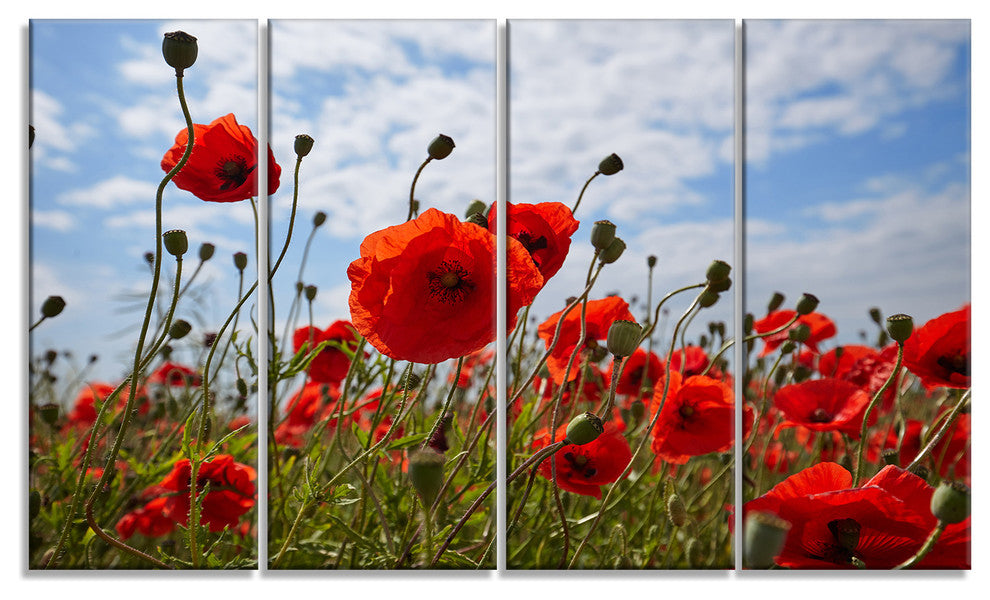 Bright Red Poppy Flowers Photo, Flower Artwork on Canvas, 48"x28", 4 Panels
