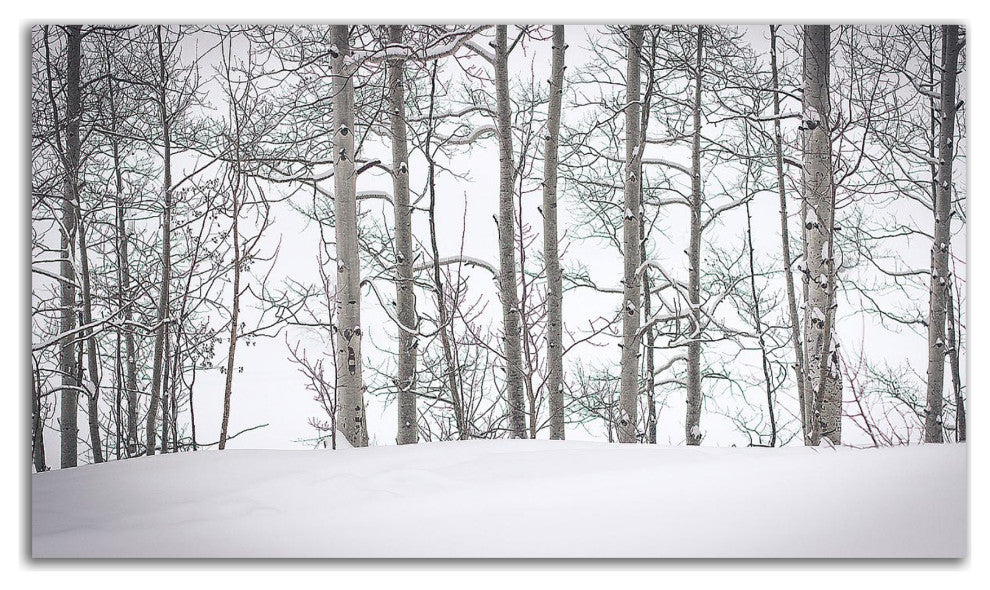 "Behind Cloister Doors" by Eunika Rogers, Print on Canvas