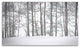 "Behind Cloister Doors" by Eunika Rogers, Print on Canvas