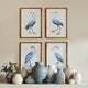 Elegant Blue Heron Gallery, Set of 4