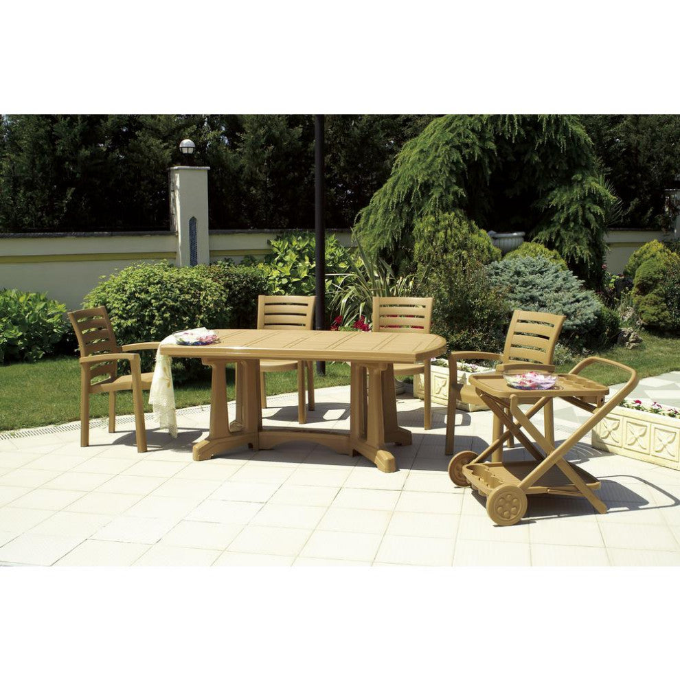 Marina Resin Dining Arm Chair Teak Brown, Set of 2