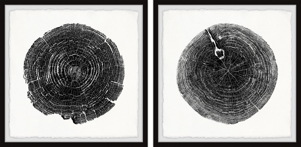 Charred Diptych, Set of 2, 18x18 Panels