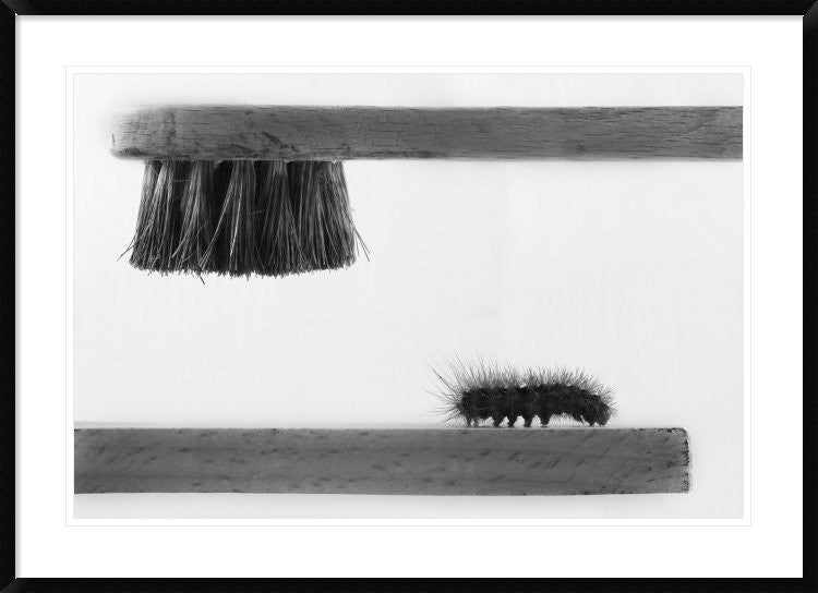 "dear Friend" Framed Digital Print by Stefano Mallus, 44x32"
