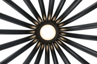 Olette 20L 42" Black Frosted Chandelier