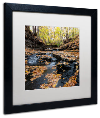 'Lakeview Autumn Falls' Matted Framed Canvas Art by Kurt Shaffer
