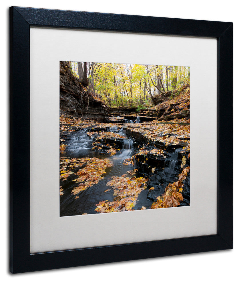 'Lakeview Autumn Falls' Matted Framed Canvas Art by Kurt Shaffer