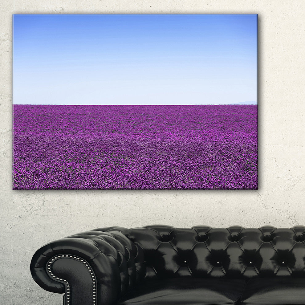 "Lavender Flowers With Blue Horizon" Landscape Wall Art Print, 32"x16"