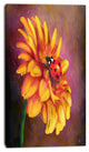 Gerber and Ladybird Watercolor, Floral Canvas Art Print, 16"x32"