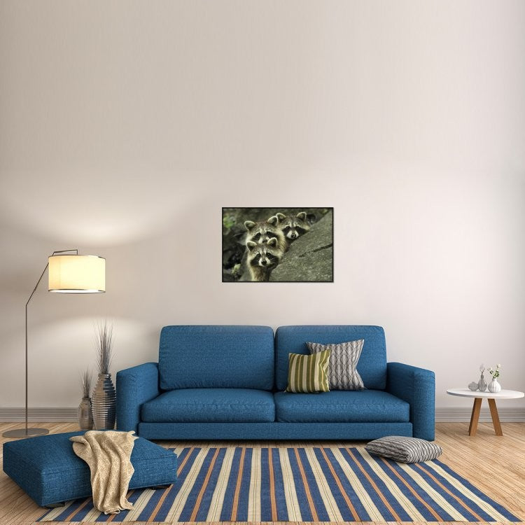 "Tres Banditos" Framed Canvas Giclee by Mircea Costina, 37x25"