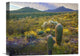 "Ajo Mountains, Sonoran Desert, Arizona" Artwork