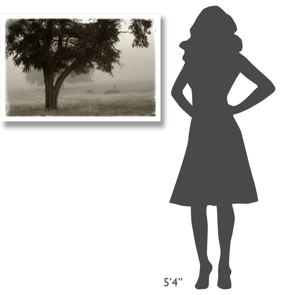"Calm Mist" Digital Paper Print by Debra Van Swearingen, 38"x26"