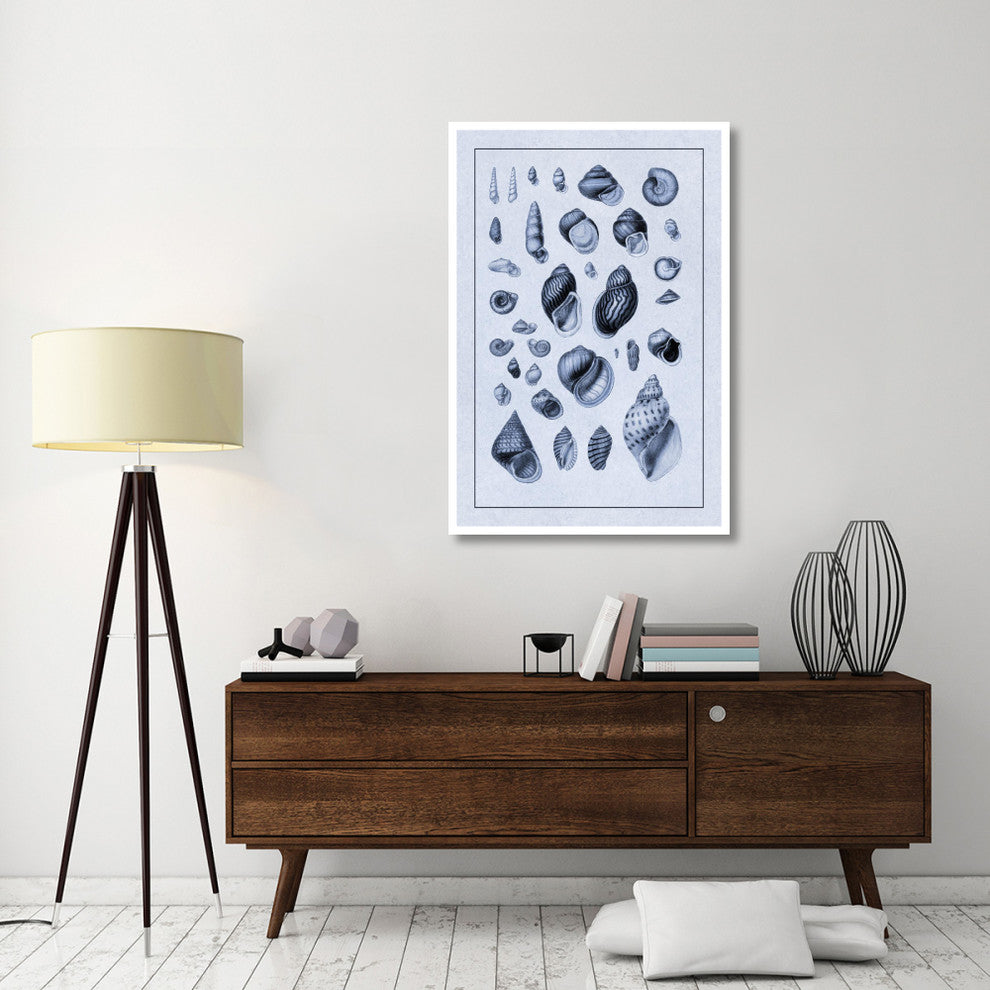 "Shells: Sessile Cirripedes #2 (Blue)" Paper Print by G.B. Sowerby, 34"x50"