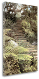 "Secret Steps" By Laura Culver,Ready to Hang Giclee Print on Gallery Wrap Canvas