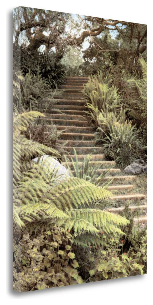 "Secret Steps" By Laura Culver,Ready to Hang Giclee Print on Gallery Wrap Canvas