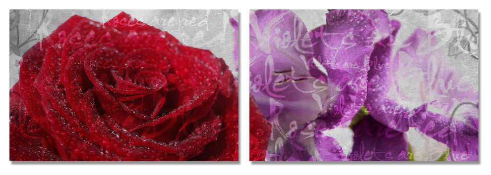 Roses are Red, Violets are Blue II Canvas Wall Art, 2-Piece Set