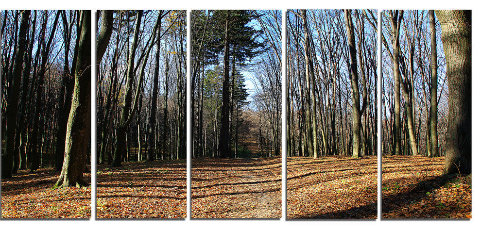 Fall Forest in Sunlight and Shadows, Modern Forest Canvas Art, 60"x28", 5 Panels