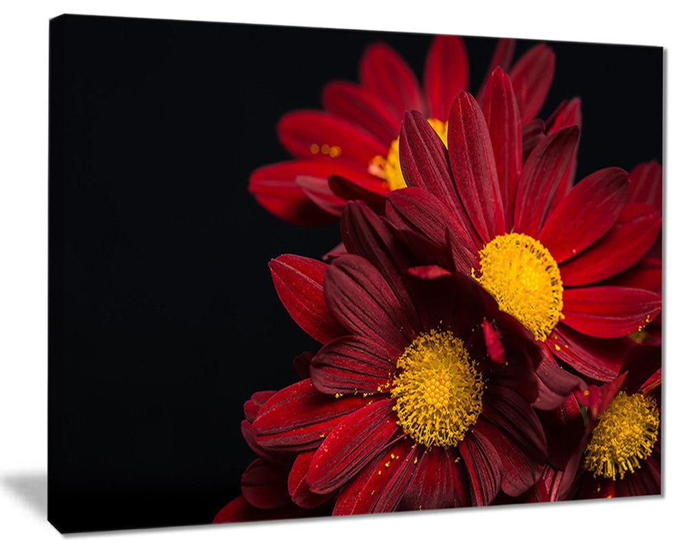 "Red Velvet Chrysanthemum Flowers" Canvas Print, 20"x12"
