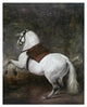 "A White Horse" Digital Paper Print by Diego Velazquez, 26"x32"
