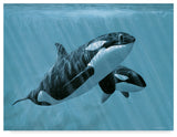 Ron Parker 'Mother And Son Orcas' Canvas Art, 19"x14"