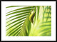 "50 Shades Of Green" Framed Digital Print by Daniele Bariviera, 38"x28"