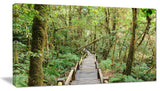 "Walk Way in Deep Forest" Landscape Canvas Photo Print, 32"x16"