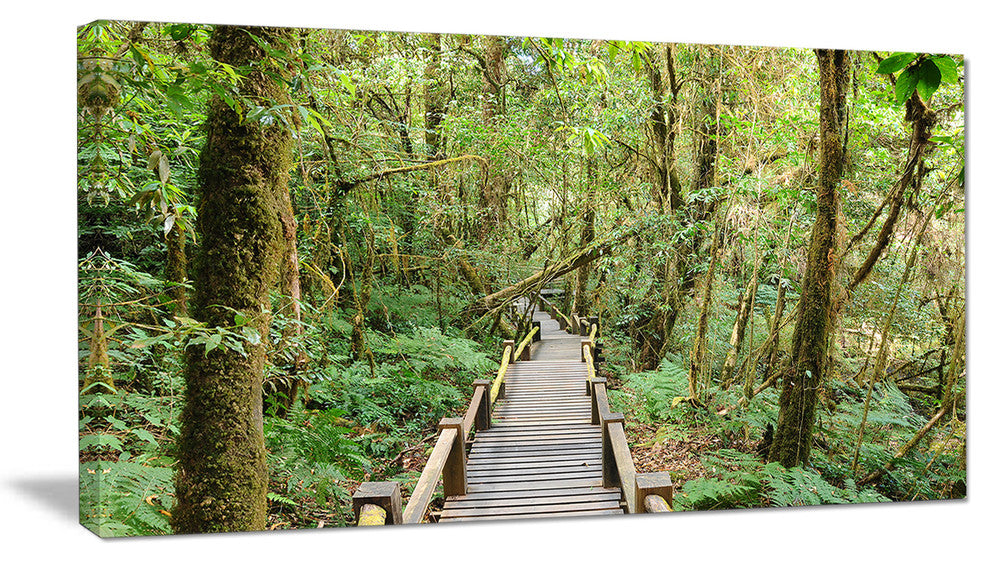 "Walk Way in Deep Forest" Landscape Canvas Photo Print, 32"x16"