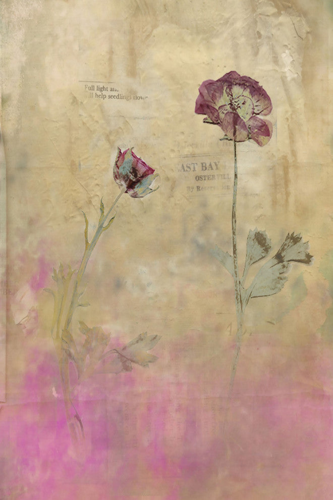 "She May Run" Painting Print on Canvas by Jorgensen