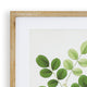 Tree Leaf Study