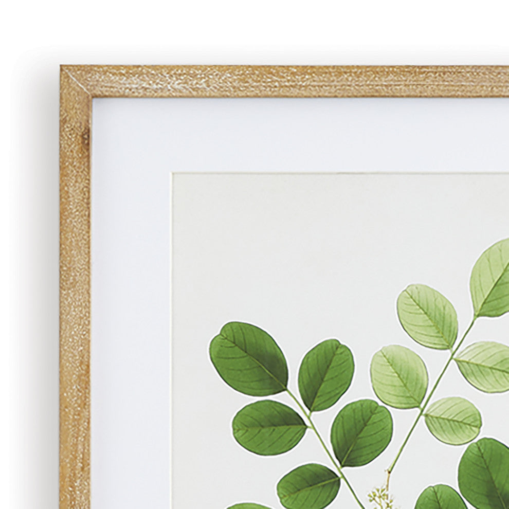 Tree Leaf Study