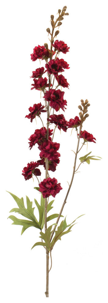Delphinium, Set of 12