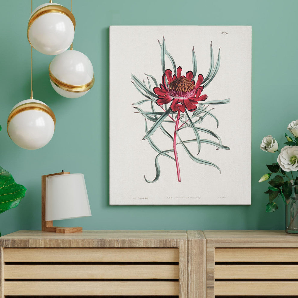 American Art Decor Red Dandelion Floral Canvas Wall Art Print - 11"x14"