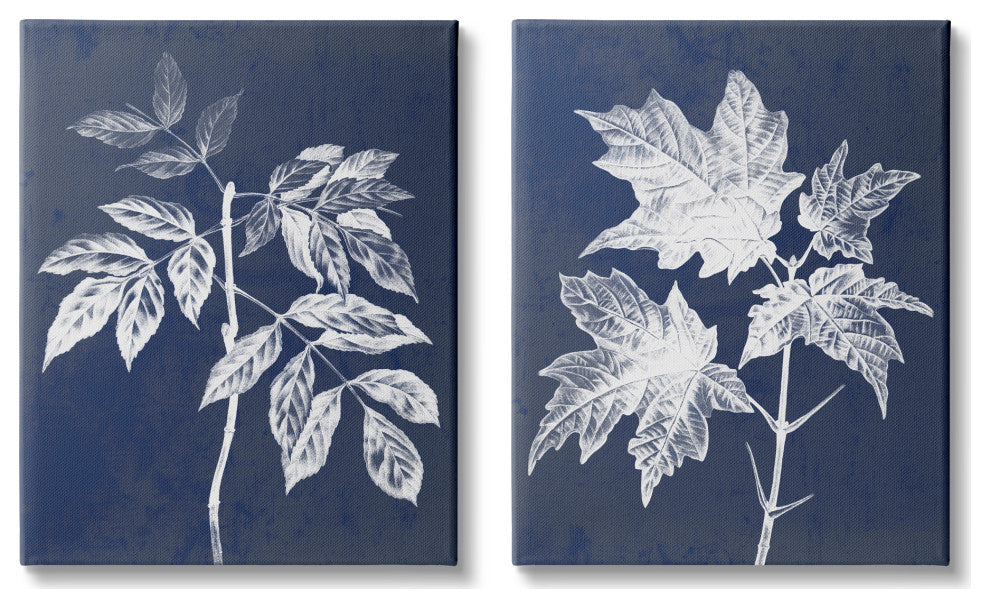 Maple Leaf Elm Stem Vintage Blue White Illustration,2pc, each 16 x 20