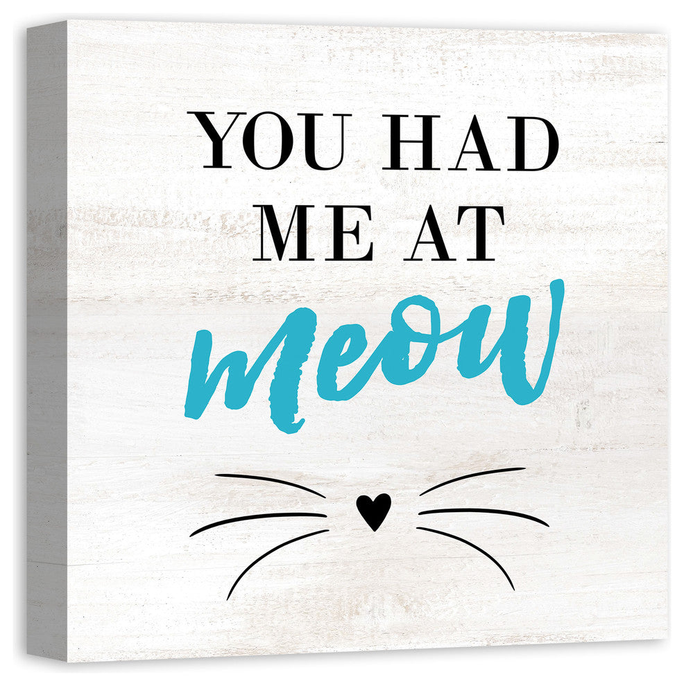 Designs Direct Had Me At Meow 20x20 Canvas Wall Art