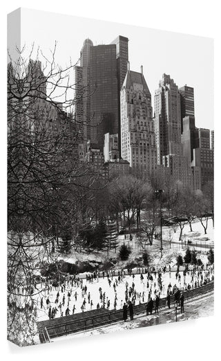"Central Park 1" by Chris Bliss, Canvas Art, 19"x14"