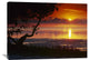 "Sunset Over Anne''s Beach, Florida" Artwork, 40" x 30"