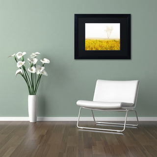 PIPA Fine Art 'Dreams of Goldenrod and Fog' Matted Framed Art, 14x11