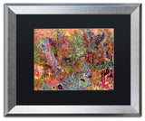 Josh Byer 'The Dove And The Crow' Art, Silver Frame, Black Mat, 20x16